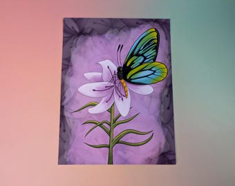 Queen Alexandra Birdwing - Art Print