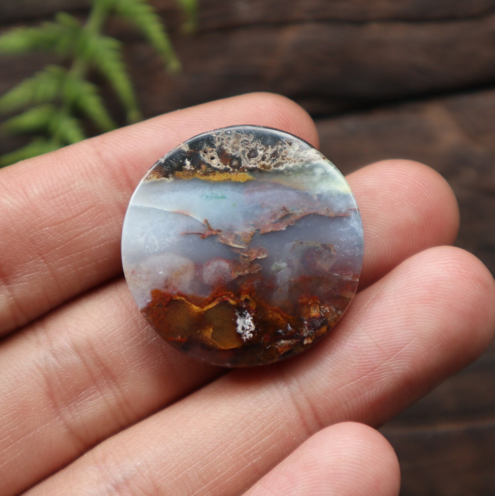 Round Opalized Petrified Wood,mohs Scales of Mineral Hardness,agate