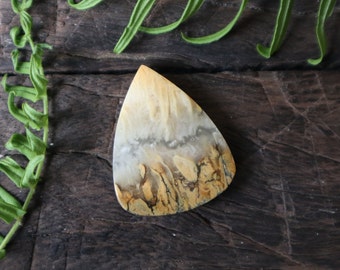 May include: A teardrop-shaped, light brown and white agate cabochon with a unique pattern of swirling lines and veins. The stone is set against a dark brown wooden background.
