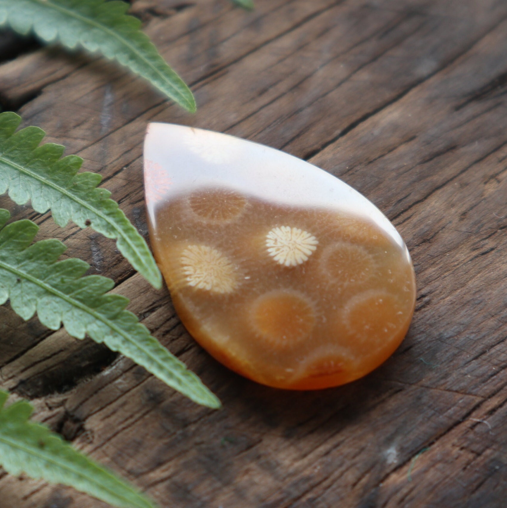 Coral Agate,mohs Scales of Mineral Hardness,agate Gemstone,flower Agate