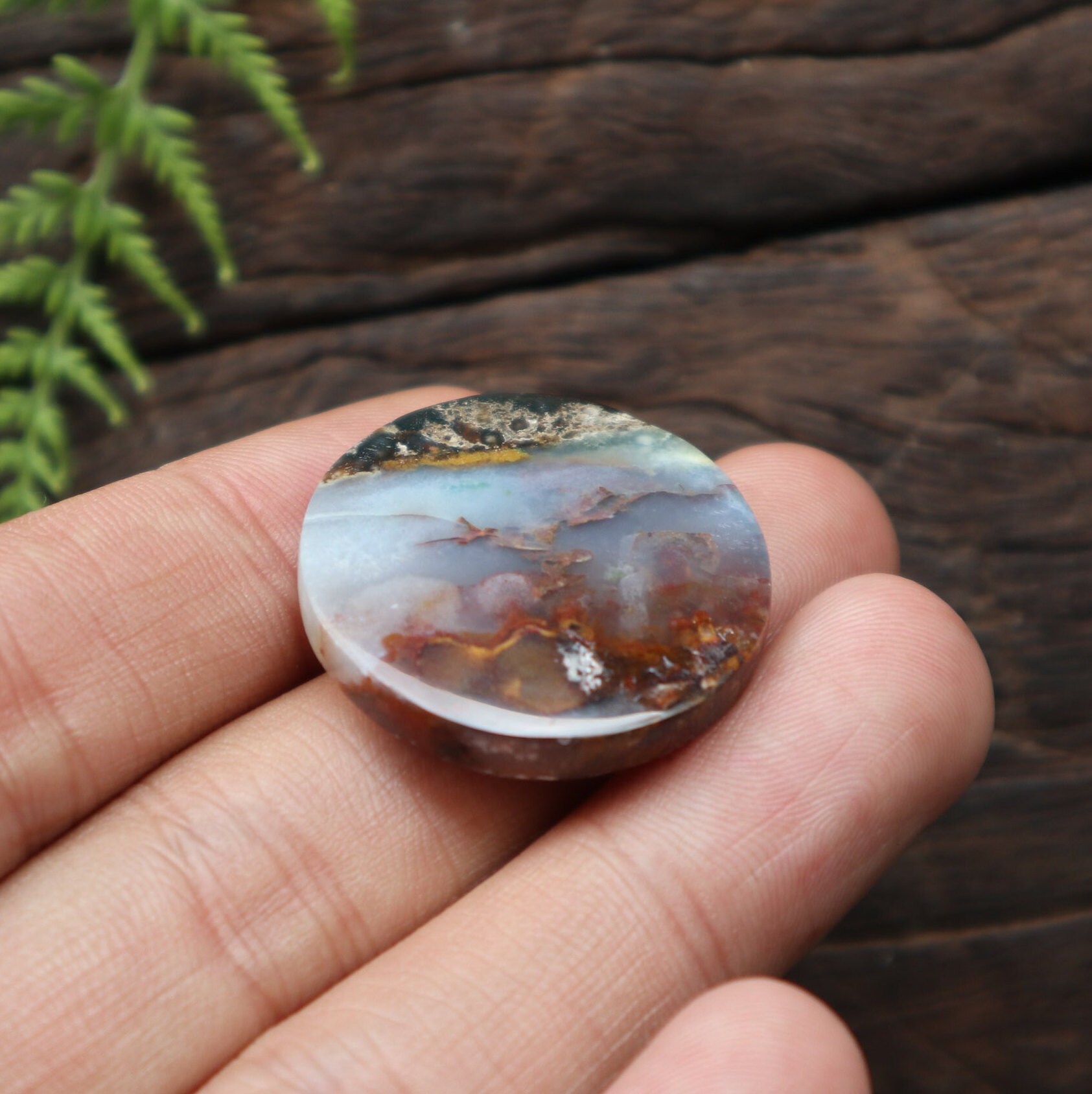 Round Opalized Petrified Wood,mohs Scales of Mineral Hardness,agate
