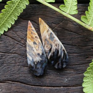 May include: Two teardrop-shaped agate cabochons with a brown, black, and white pattern. The cabochons are polished and have a smooth surface.