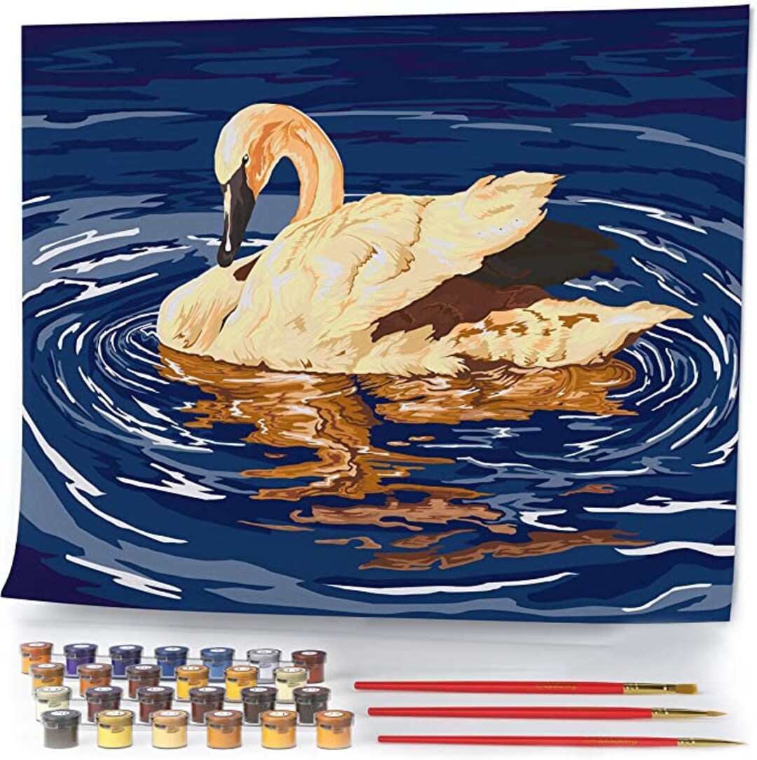 Adult Digital Painting Digital Painting Kit With Rolled up Canvas