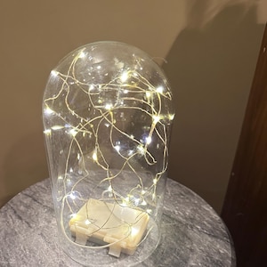 Clear Glass Display Dome Cloche with Fairly Lights (sold separately)