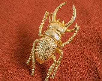 Vivid Beetle Schubladengriffe Zieht Messing Gold Bug Kabinettknöpfe Massivmessing Insekt Schrank Türknöpfe Geschenk Einzigartige Goldtürknöpfe Tier zieht