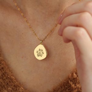 Puede incluir: Un collar de tono dorado con una cadena delicada y un peque&ntilde;o colgante circular de forma irregular. El colgante presenta un grabado detallado de una huella de pata en el centro, creando un punto focal sutil y texturizado sobre el metal pulido.