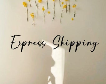 Express Shipping