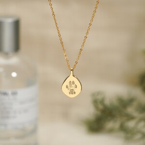 Puede incluir: Un collar de tono dorado con una cadena delicada y un colgante en forma de l&aacute;grima. El colgante muestra un grabado detallado y oscuro de una huella de pata de animal centrado en su superficie met&aacute;lica lisa y pulida.