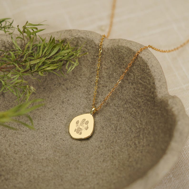 Puede incluir: Un collar de tono dorado con una cadena fina y un peque&ntilde;o colgante con forma de gota irregular. El colgante presenta un grabado detallado de una huella de pata de animal centrado en su superficie lisa y pulida que refleja la luz.