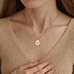 Puede incluir: Un collar de tono dorado que presenta una cadena delicada y un peque&ntilde;o colgante con forma de gota irregular. El colgante est&aacute; grabado con un dise&ntilde;o de huella de pata de animal centrado en su superficie lisa y pulida, colgado de una cadena fina.