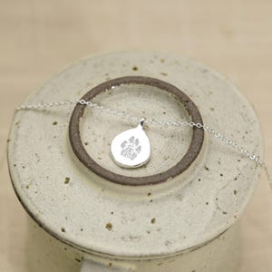 Puede incluir: Un collar de plata con un peque&ntilde;o colgante irregular en forma de gota. El colgante tiene grabado un detalle de huella de pata de animal en el centro. La pieza est&aacute; unida a una delicada y fina cadena de plata que se extiende horizontalmente.