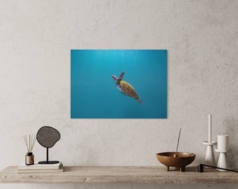 Australian Green Sea Turtle Underwater Diving Freediving Canvas Wall Livingroom Bedroom Boardroom Decor Colour Ocean