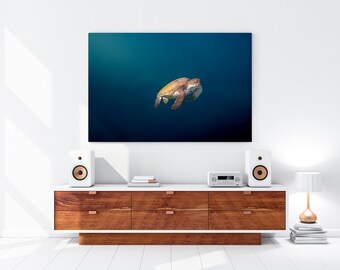 Green Sea Turtle Photography Print | Ocean Animal Wall Art (Digital Download)