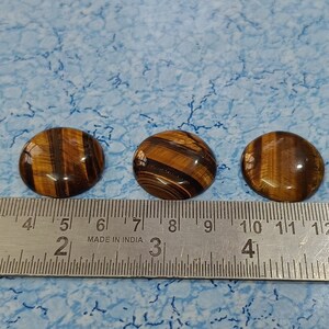 May include: Five round, polished tiger's eye cabochons, each measuring approximately 1 inch in diameter, are lined up on a ruler. The cabochons are a mix of brown, gold, and black colors.