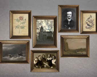 May include: A selection of framed vintage artworks, including botanical prints, portraits, and landscapes. The frames are ornate with a gold finish, and the artwork features diverse styles and subjects, creating a gallery wall aesthetic.