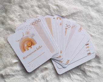 Cartes étapes bébé lion - lot de 17