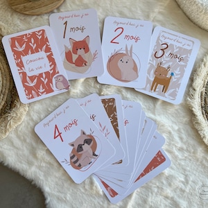 Cartes étapes bébé animaux de la forêt - lot de 13