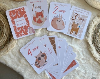 Cartes étapes bébé animaux de la forêt - lot de 13