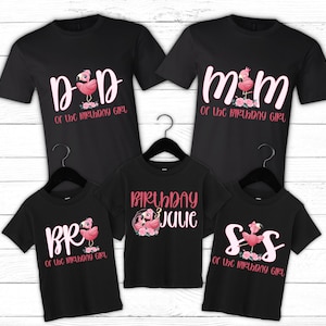 Flamingo birthday shirts, family matching shirts, flamingo birthday, flamingo theme party, flamingo 1st, girl birthday shirt, 1st birthday
