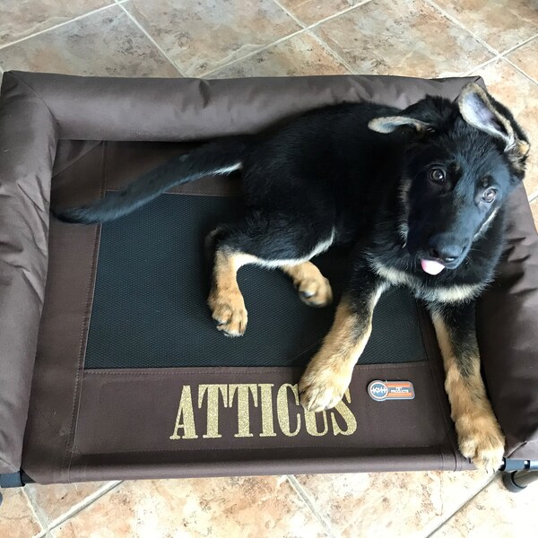 Elevated Dog Bed Etsy