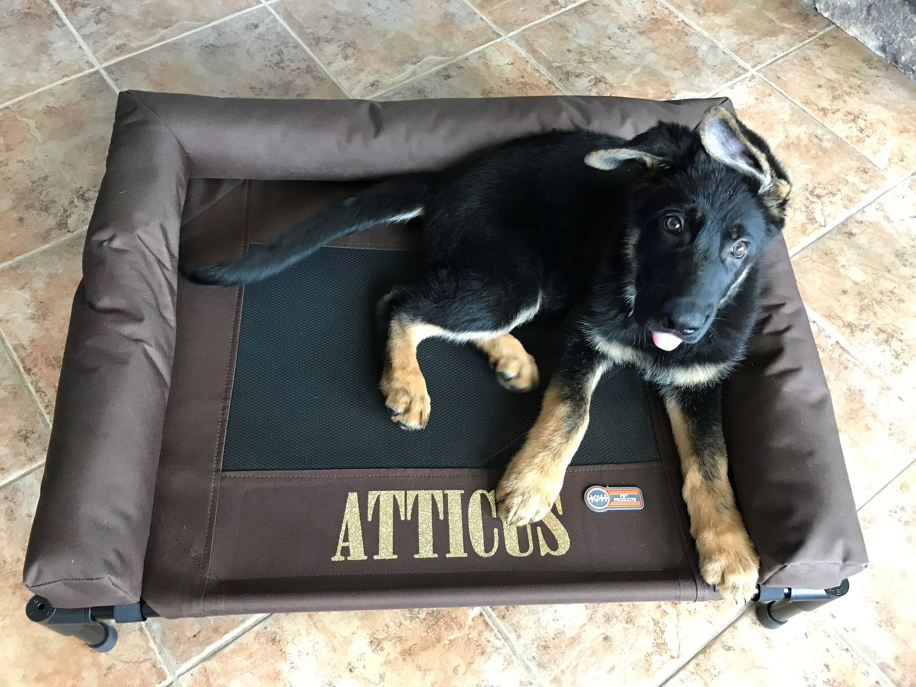 Personalized Pet Cot Elevated Dog Bed With Bolsters Etsy