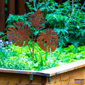 May include: Three rusty metal monstera leaf shapes are arranged in a garden planter. The leaves are a dark brown color and have a rough texture. The planter is filled with green plants.