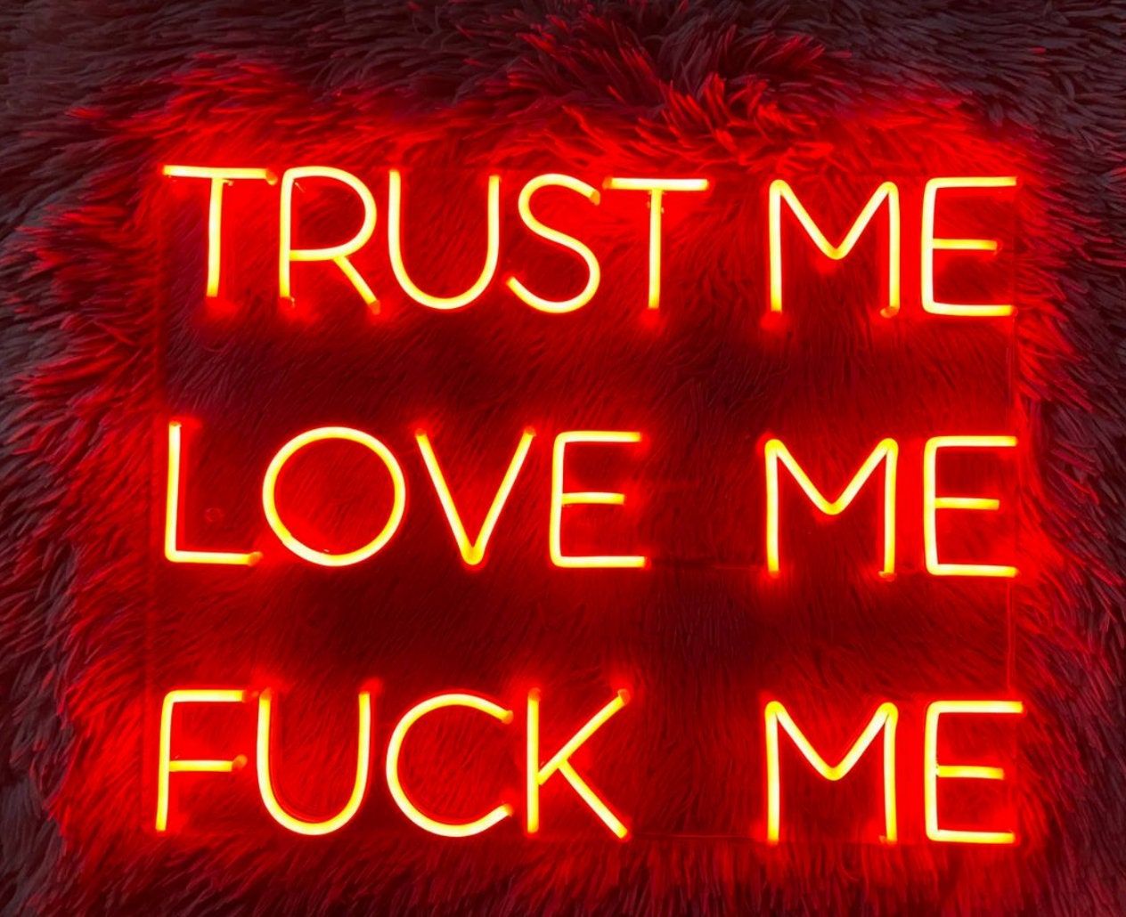 TRUST ME LOVE ME FUCK ME ネオンサイン ライト NEON SIGN