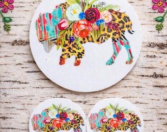 Native American Center Pieces / medallion