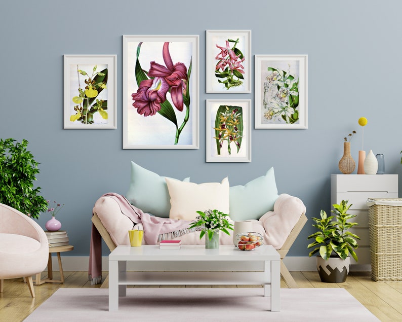 Set of Five Botanical Prints, Orchid Wall Art, Printable Floral Art