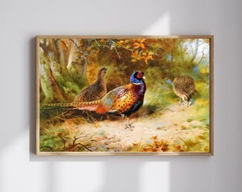 Pheasant Wall Art, Vintage Bird Print, Hunting Lodge Decor Download