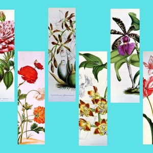 Six Printable Bookmarks, Floral digital bookmarks, Vintage painting flower bookmarks