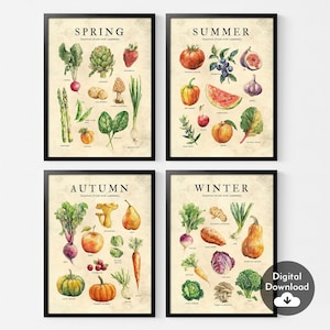 Set of 4 Seasonal Fruits & Vegetables Prints,Watercolor Illustration, Kitchen Wall Art Decor,Seasonal Food Poster,seasonality chart,Digital