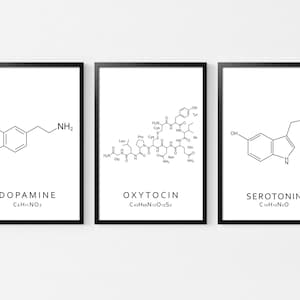 May include: Three framed prints with black frames, each displaying a black and white illustration of a chemical structure. The prints show the molecules of Dopamine, Oxytocin, and Serotonin, with their names and chemical formulas below.