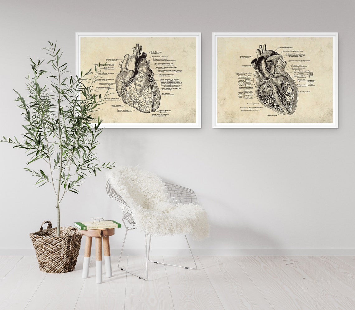 Anatomical Heart Print Set: Vintage Medical Art (digital Download) - Etsy