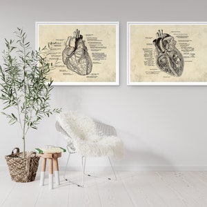 Anatomical Heart Print Set: Vintage Medical Art (digital Download) - Etsy