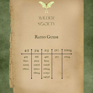 Impresión con cita de Ralph Waldo Emerson: Regalo para amantes de la naturaleza (descarga digital) imagen 4