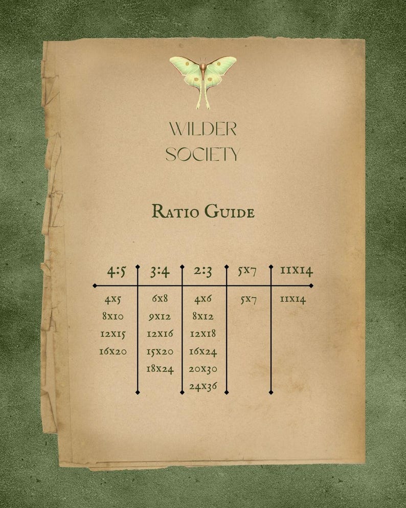 Impresión con cita de Ralph Waldo Emerson: Regalo para amantes de la naturaleza (descarga digital) imagen 4