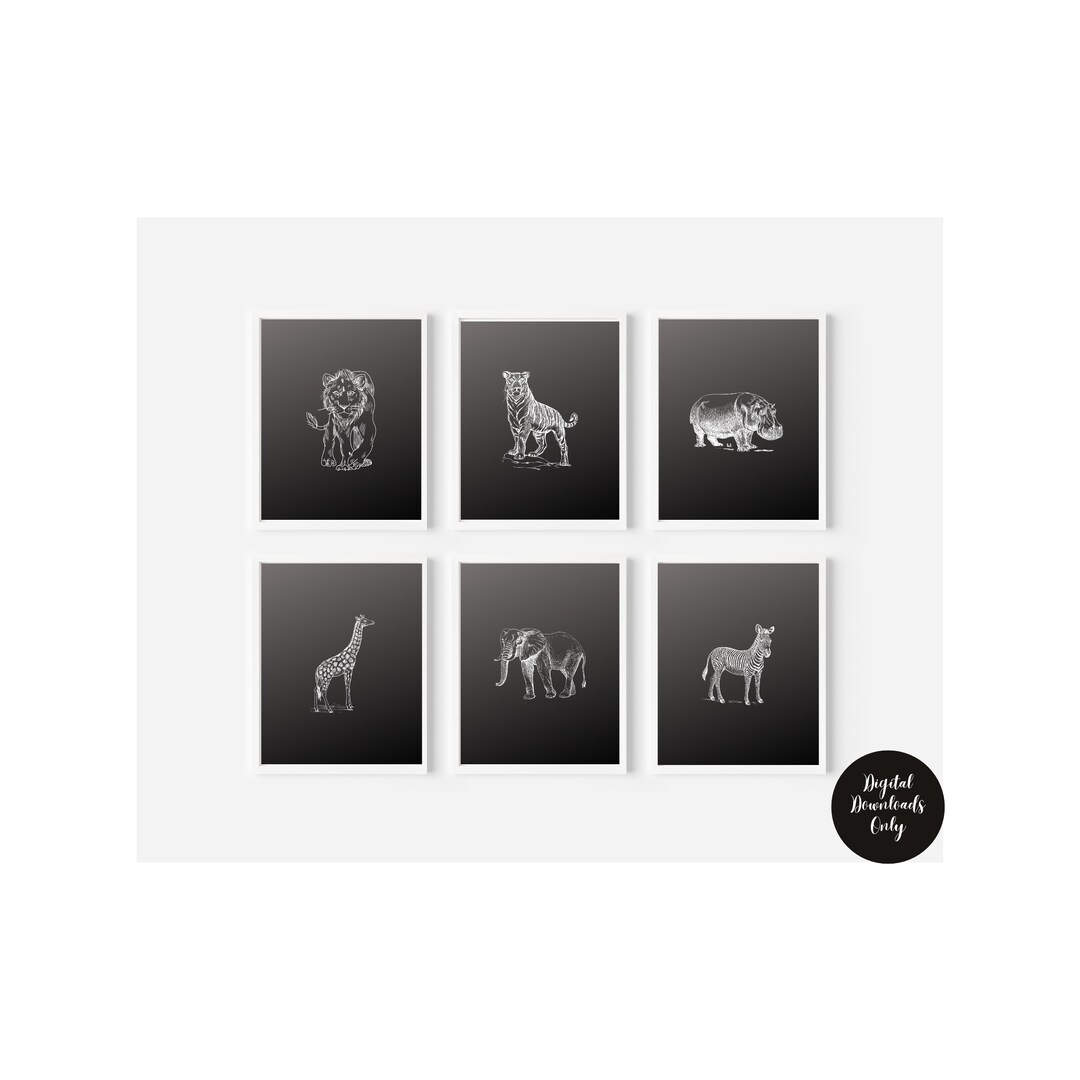 Black and White Wall Art Set of 6 Prints Animal Wall Art Etsy