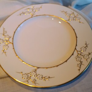 Spode Blanche De Chine Y3679 10.5" Assiette blanche avec bordure dorée, assiette fantaisie, objet de collection