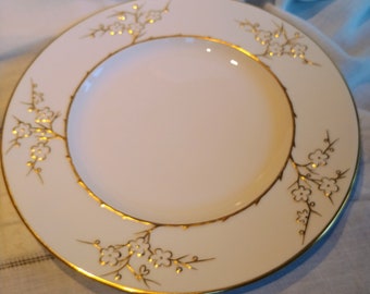 Spode Blanche De Chine Y3679 10.5&quot; Dinner plate white with gold trim, fancy dinner plate, collectors item