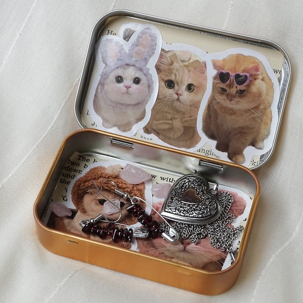 tin box wallet | aesthetic box with cats