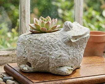 Maceta pequeña de cemento con forma de rana, maceta rústica de jardín con base desconchada, decoración de jardín con anfibios originales, regalo para amantes de las ranas y los sapos de estilo cottagecore.