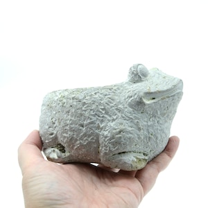 May include: A white ceramic frog planter with a textured surface. The frog is sitting on its belly with its legs outstretched.