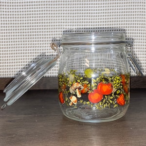 Vintage Arc France Glass Spice of Life Canister Jar with Lid