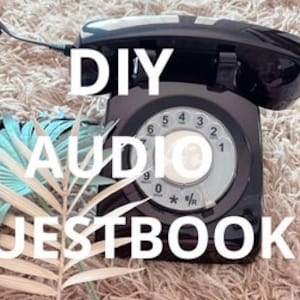DIY Audio Guestbook