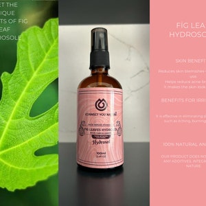 FİG LEAF HYDROSOL100ml, purifying, brightening, pure, all nature, fig leaf dried, hydrolat, natural, aromatherapy, tonic image 2