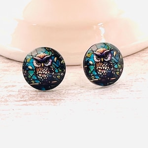 May include: A pair of round stud earrings featuring an owl design. The earrings have a blue, green, and brown color scheme, with the owl depicted in a stained-glass style. The earrings are set against a light-colored background.