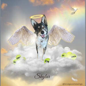 Digital with Photo Print - Rainbow Bridge | Pet Loss Tribute |