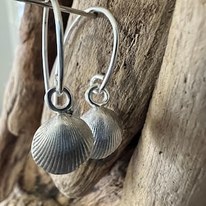 Peut inclure: Boucles d'oreilles argentées à créoles avec des breloques en forme de coquillage. Les boucles d'oreilles sont suspendues à une tige métallique sur un fond de bois vieilli. Les breloques coquillage ont une texture côtelée détaillée.