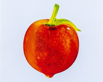 Fruit of the Spirit Songbook
